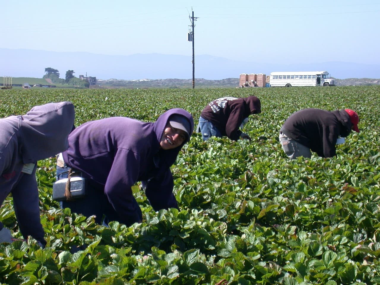 Dolores Huerta tributes pour in after death of United Farm Workers co-founder at 96