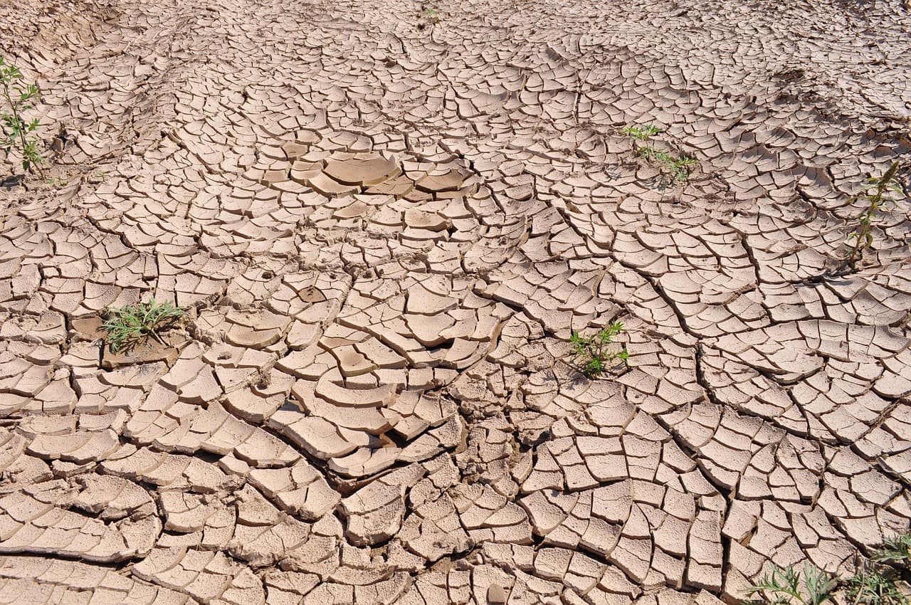 El Nino Forecast December Peak as UN Warns of Intensification