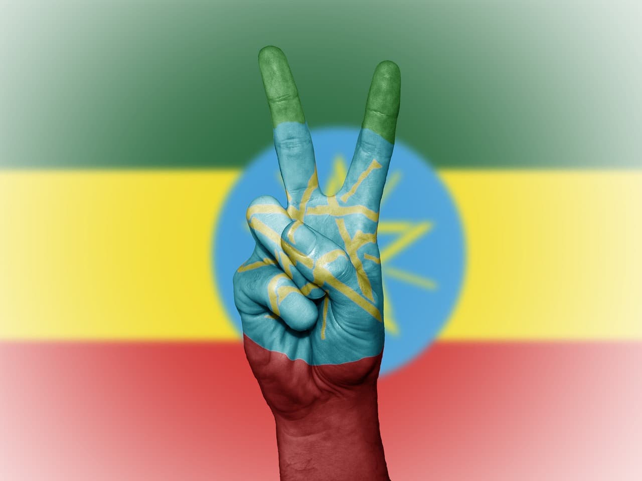 Ethiopia Announces Interim Government in Tigray, Elections in Six Months