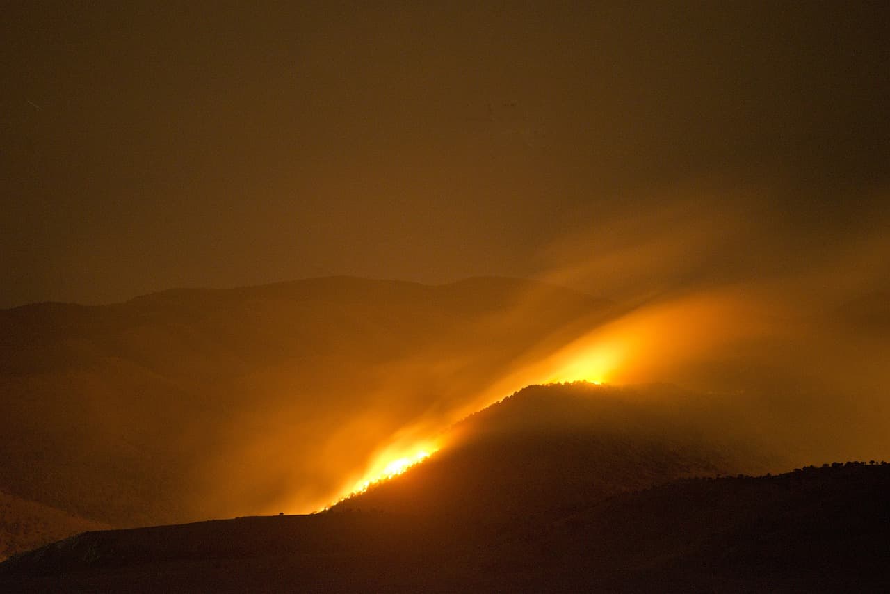 Europe summer heatwave: fire weather worst on record as 680,000 hectares burn