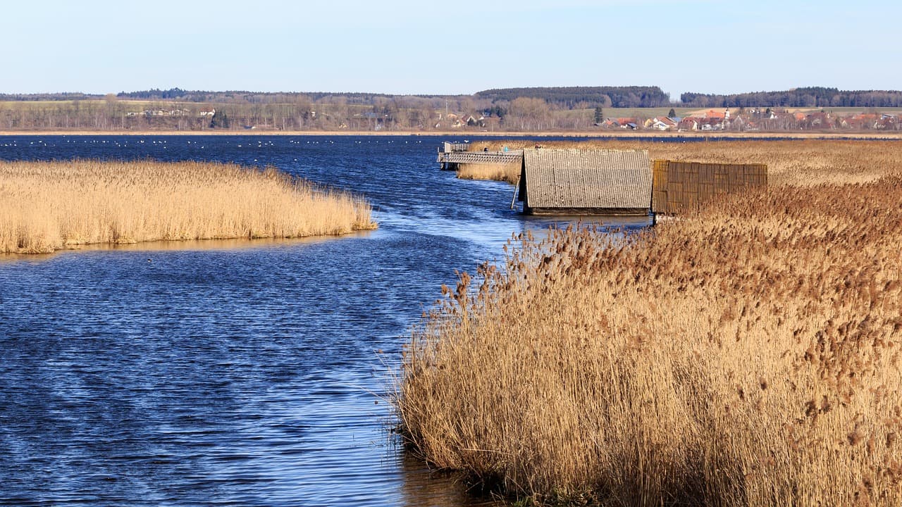Norfolk couple environmental regulators high court win: Tim and Geli Harris score third victory over Natural England