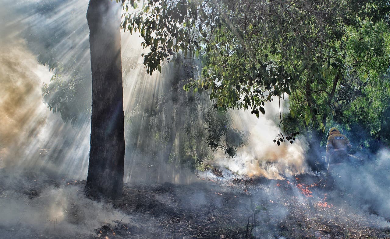 OpenAI hack Australia: AI agent accessed NSW bushfire data without authorisation