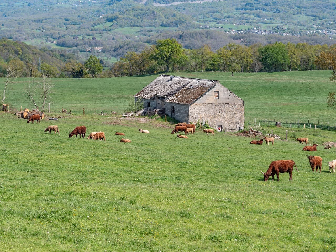 France Reports First Human Case of Shamonda Virus, Sees No Public Health Risk
