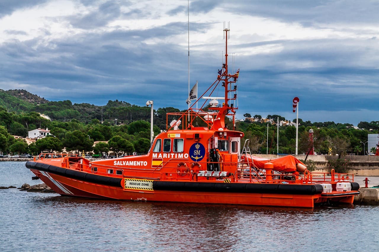 Ships hit by drones off Bulgaria: one sinks, 11 crew missing