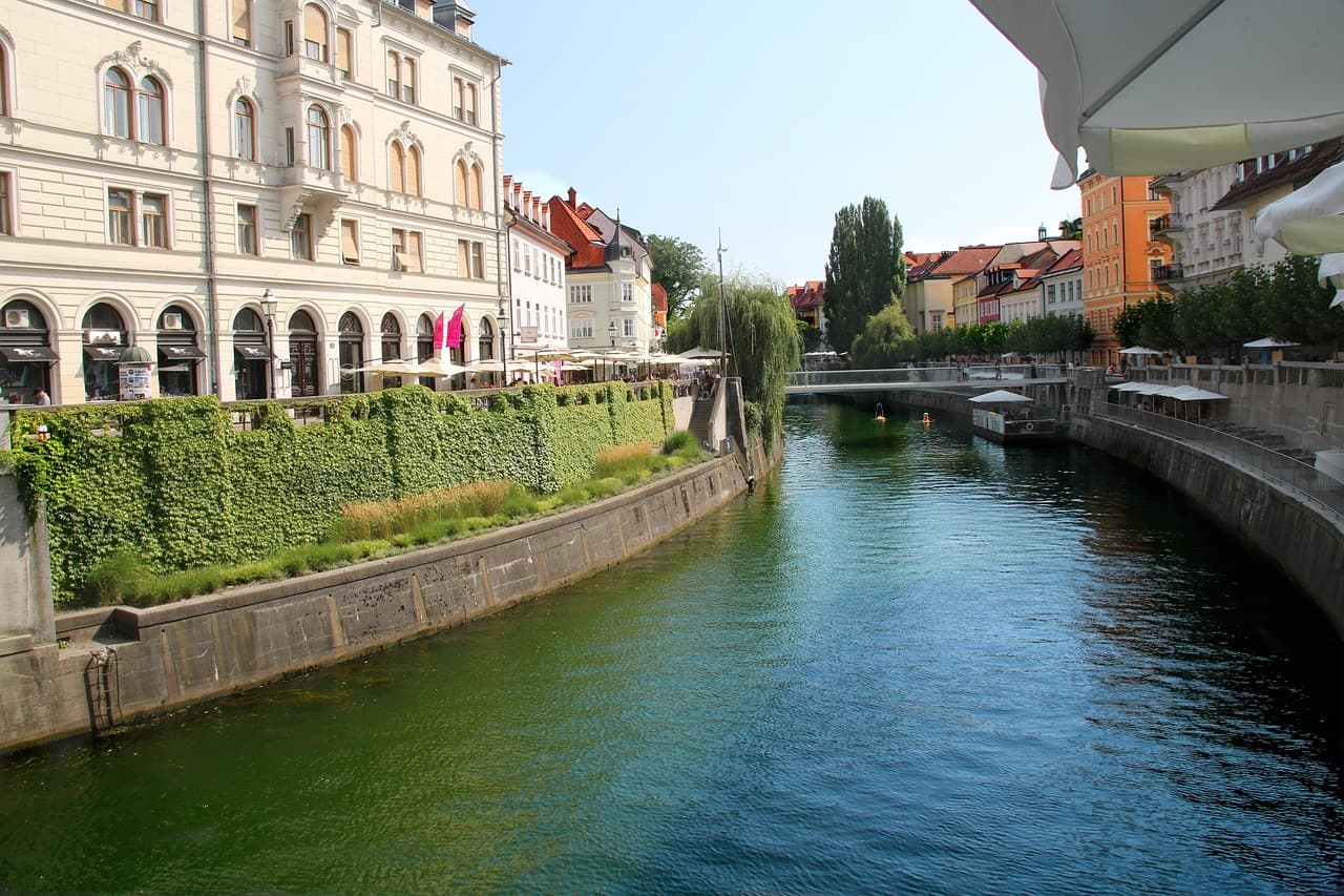 Slovenia referendum: voters reject parliamentary inquiry bill in blow to Janez Jansa