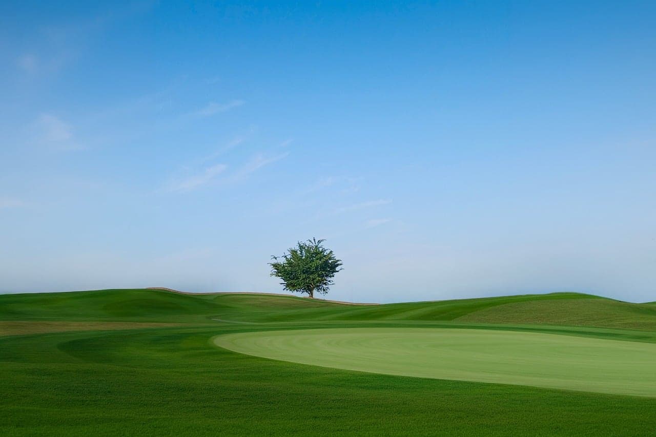 Trump says DC golf course 'restoration' to start 15 November despite judge's pause order