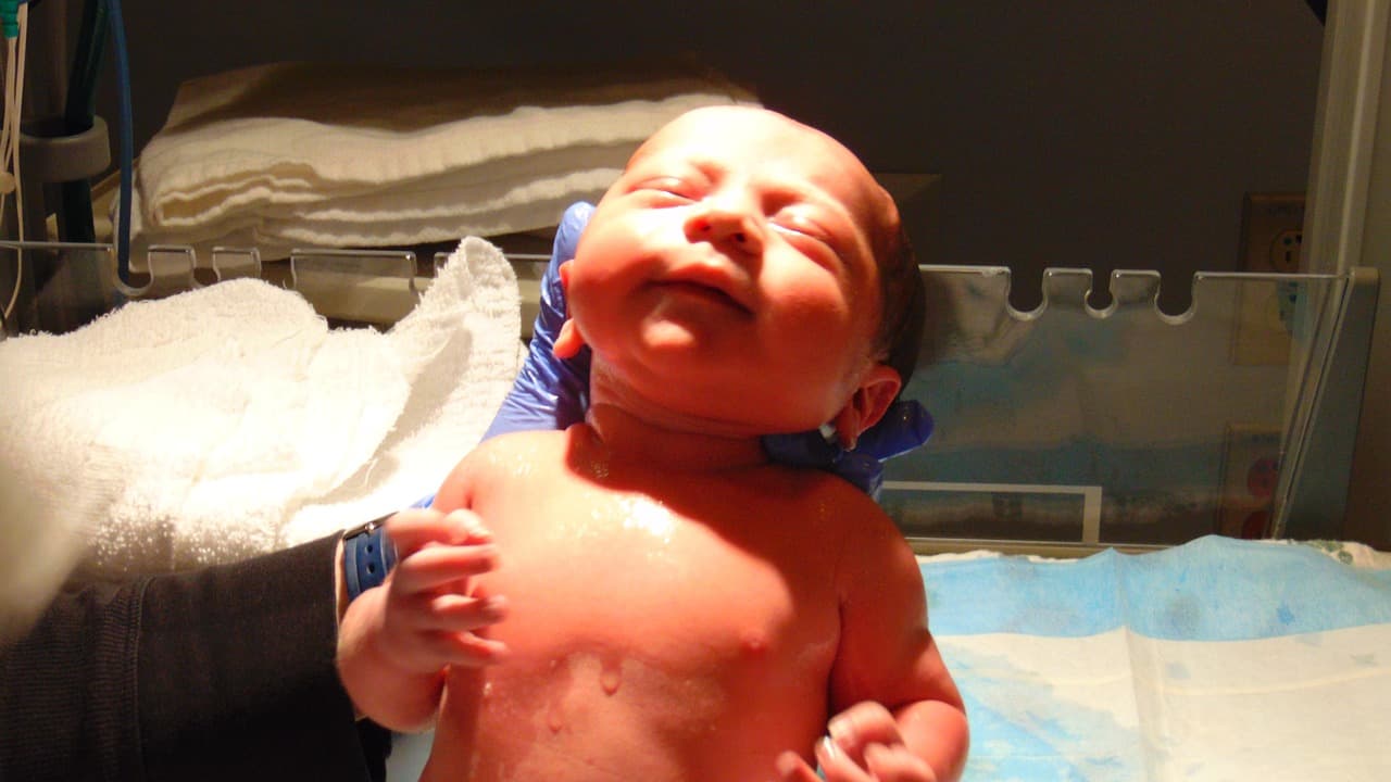 UK government apology over stillborn babies mass graves issued in Commons