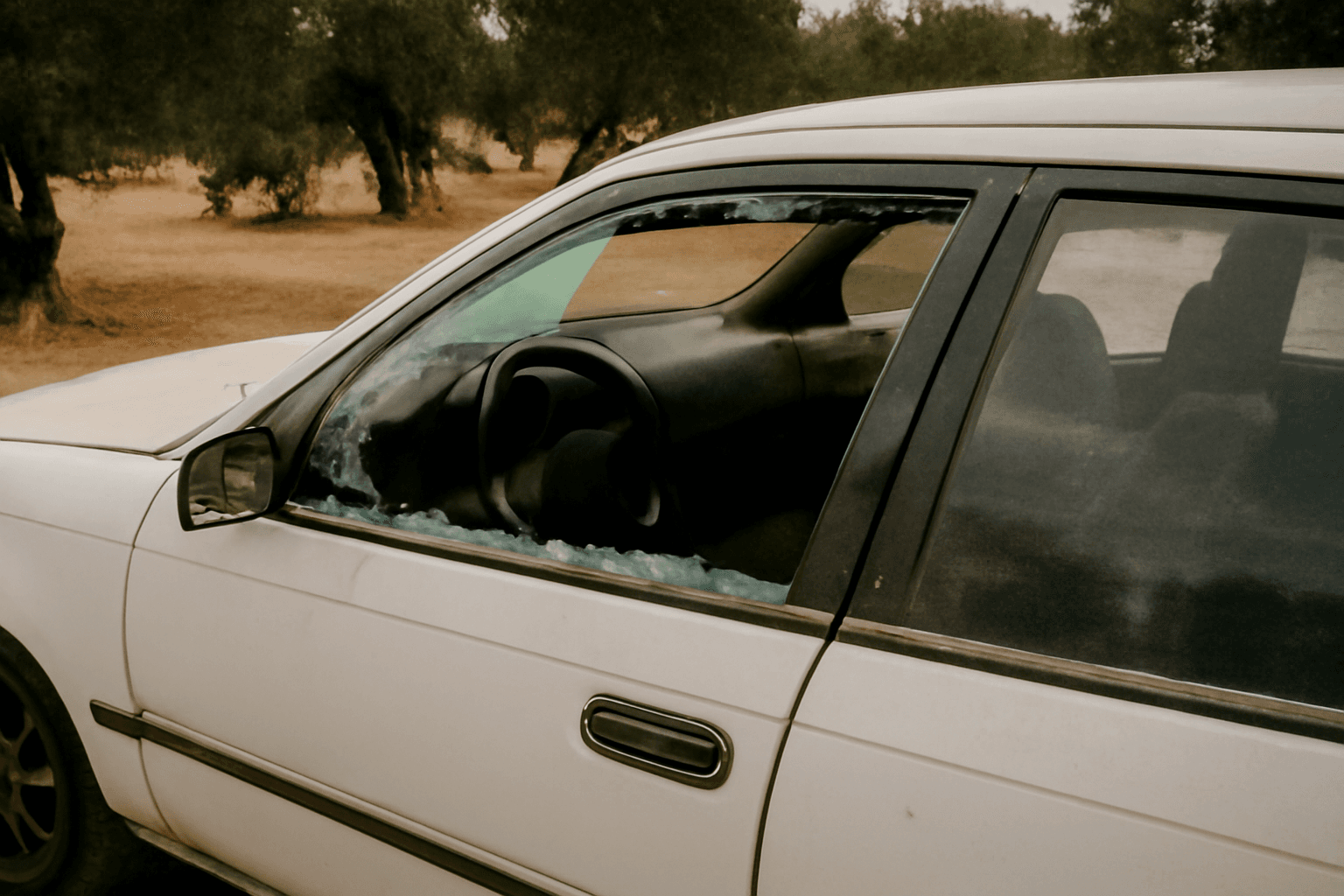 A shattered car window with glass fragments scattered across the driver's seat of a dusty white vehicle parked beside olive trees on a dirt road.