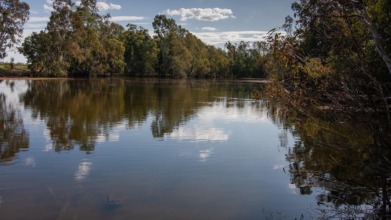 Bush Heritage nears $19m deal to protect Wooroora station in far north Queensland
